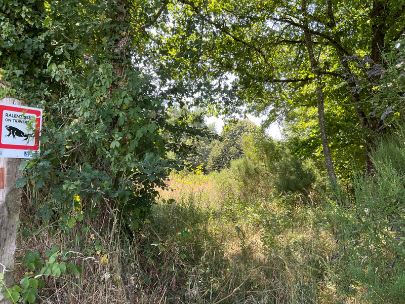 French property for sale in Chavanat, Creuse - €61,600 - photo 1