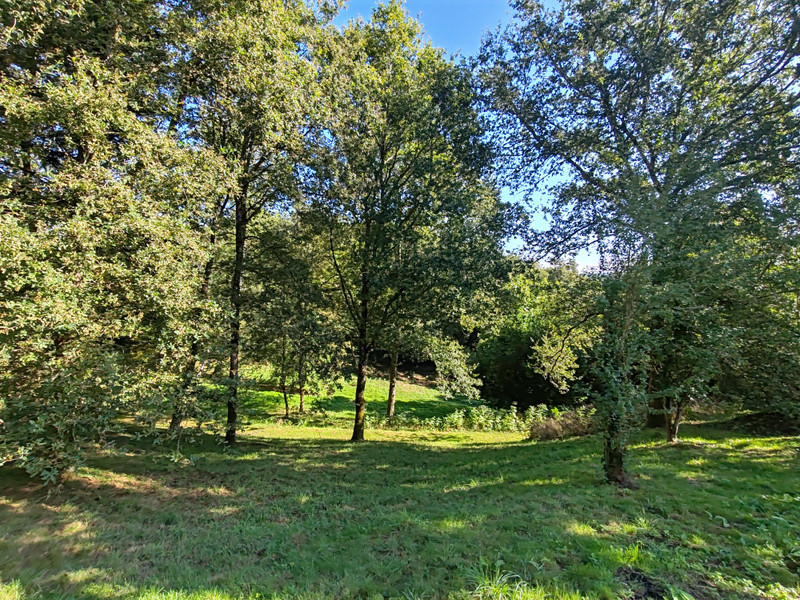 French property for sale in Le Bourdeix, Dordogne - €821,500 - photo 6