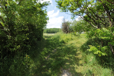 French property for sale in Saint-Perdoux, Dordogne - €75,000 - photo 13
