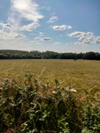 Terrain à vendre à Loyat, Morbihan - 78.820 € - photo 5