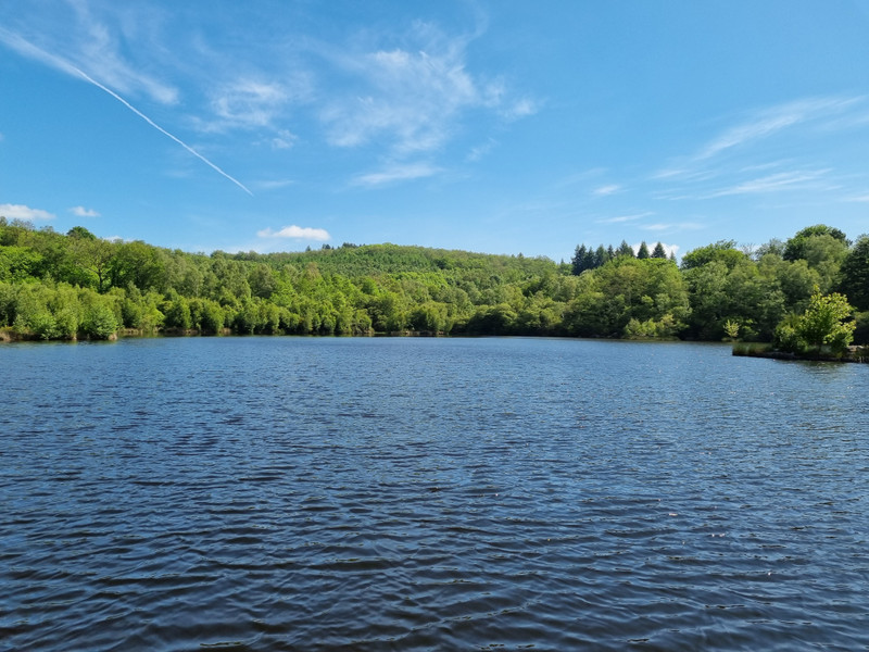 Propriété à vendre à Montrol-Sénard, Haute-Vienne - photoAltPrice