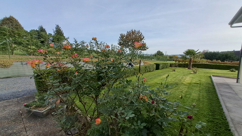 French property for sale in Tessy-Bocage, Manche - €372,340 - photo 4