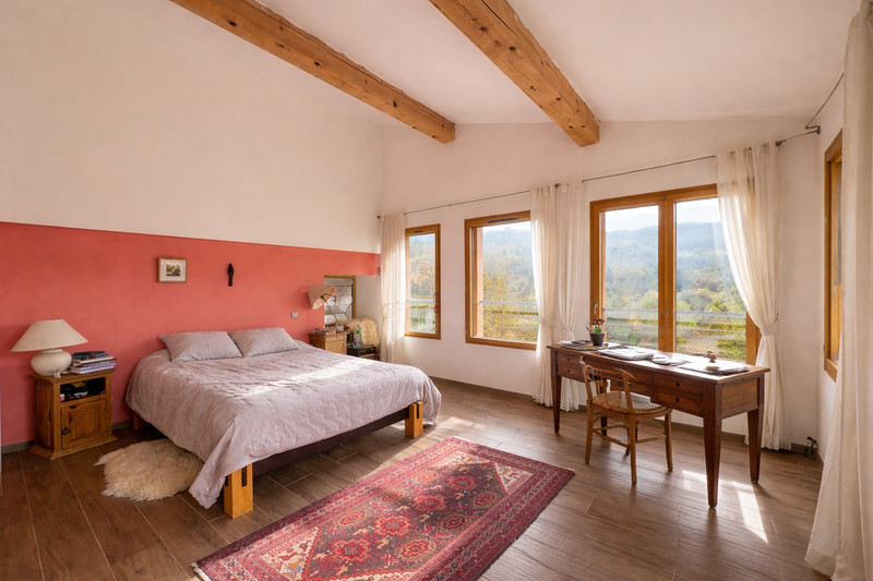 French property for sale in Saint-Hilaire, Aude - €1,800,000 - photo 5