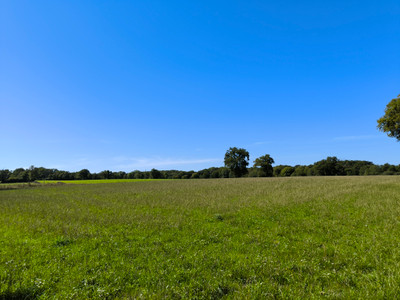 French property for sale in Val-d'Oire-et-Gartempe, Haute-Vienne - €59,100 - photo 9