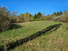 French property for sale in Touquettes, Orne - €30,000 - thumbnail 6