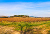 French property for sale in Laudun-l'Ardoise, Gard - €510,000 - thumbnail 9