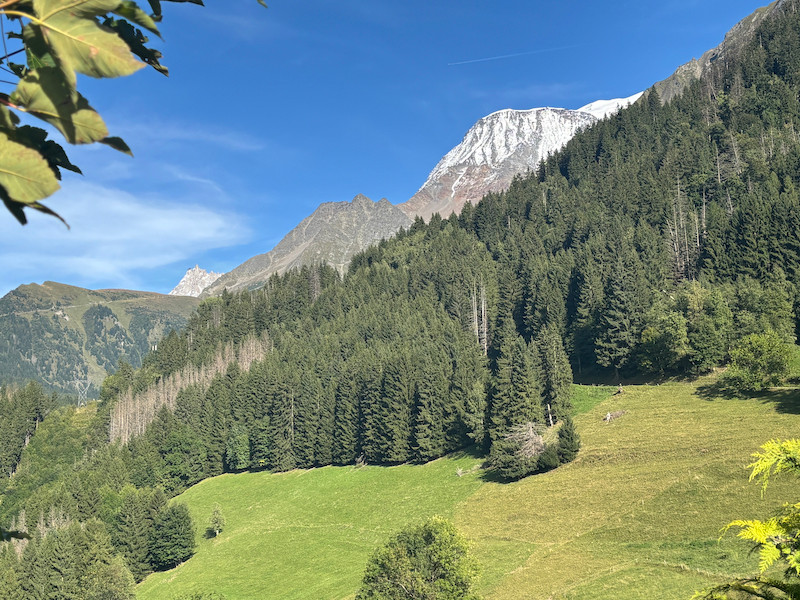 French property for sale in Saint-Gervais-les-Bains, Haute-Savoie - €790,000 - photo 0