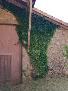 French property for sale in Exideuil-sur-Vienne, Charente - €21,600 - photo 1