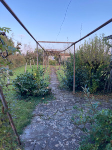 French property for sale in Pampelonne, Tarn - €65,000 - photo 1