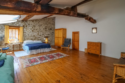 Beautiful medieval Château for sale, in the unspoilt heart of the Cévennes.