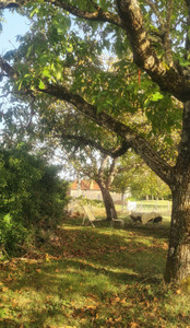 French property for sale in Audrix, Dordogne - €200,000 - photo 2