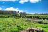 French property for sale in Saint-Paul-en-Gâtine, Deux-Sèvres - €190,080 - thumbnail 9