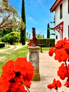 French property for sale in Arles, Bouches-du-Rhône - €1,390,000 - photo 9