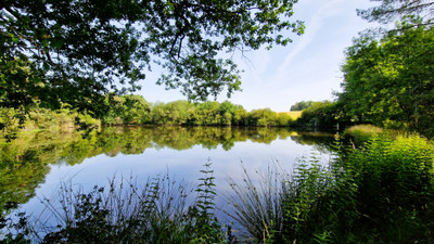Lacs à vendre à Saint-André-de-Double, Dordogne, Aquitaine, avec Leggett Immobilier
