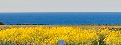 French property for sale in Vierville-sur-Mer, Calvados - €599,000 - photo 2