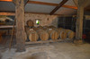 French property for sale in Sainte-Gemme, Gironde - €522,800 - thumbnail 9