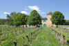French property for sale in Le Buisson-de-Cadouin, Dordogne - €4,050,000 - thumbnail 9