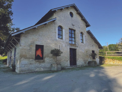 Exceptional property for sale: manor house, gite, stud farm, spa, sauna, swimming pool, ... 10 min from Argent