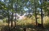 French property for sale in Gauriac, Gironde - €199,900 - thumbnail 9