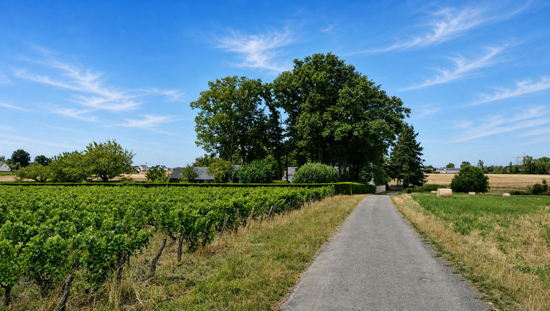 French property for sale in Parçay-Meslay, Indre-et-Loire - €799,000 - photo 0