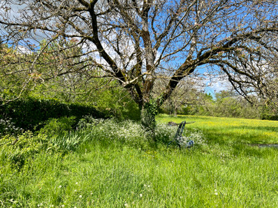 French property for sale in Saint-Front-la-Rivière, Dordogne - €119,900 - photo 9