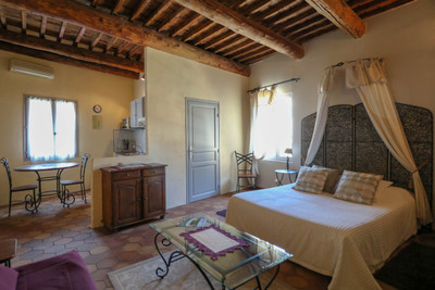 Well renovated 18th century mas (550 m²) 4 B&B apartments, swimming pool, private courtyard, spacious barn. 