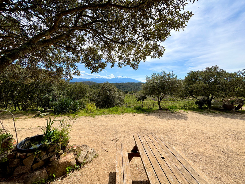 French property for sale in Montalba-le-Château, Pyrénées-Orientales - €330,000 - photo 13