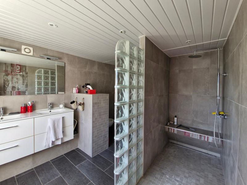 French property for sale in Chanoz-Châtenay, Ain - €519,000 - photo 6