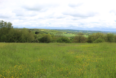 French property for sale in Belforêt-en-Perche, Orne - €575,000 - photo 9