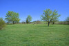 French property for sale in Condom, Gers - €220,000 - thumbnail 9