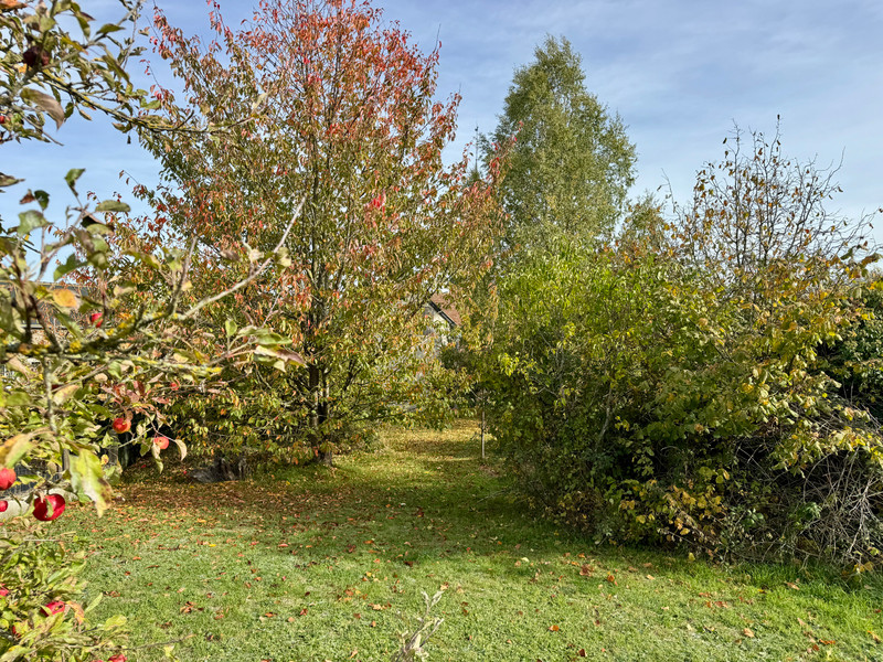 French property for sale in Pré-en-Pail-Saint-Samson, Mayenne - €49,950 - photo 1