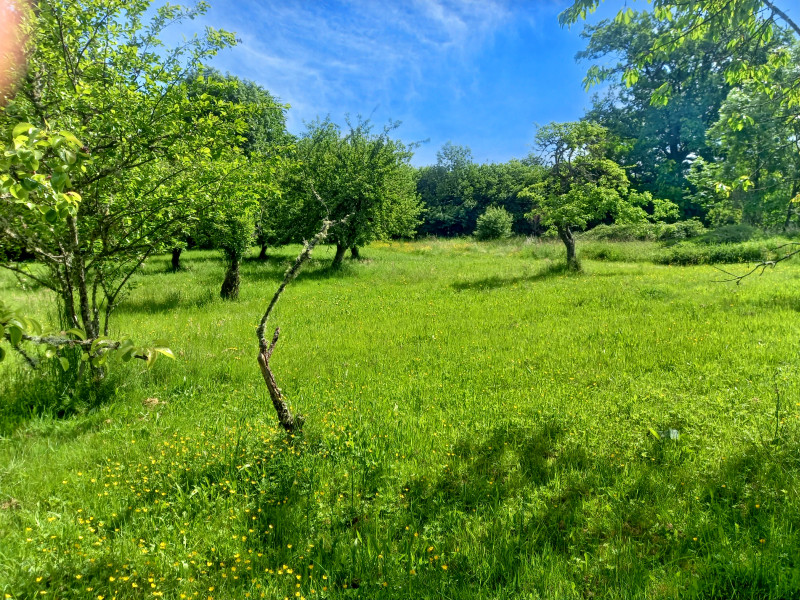 French property for sale in Sarroux - Saint Julien, Corrèze - €172,800 - photo 9