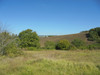 French property for sale in Saint-Séverin, Charente - €267,500 - thumbnail 14