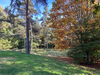 Maison à vendre à Saint-Yrieix-le-Déjalat, Corrèze - 844.000 € - photo 6