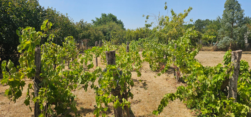 French property for sale in Maillezais, Vendée - €249,900 - photo 13