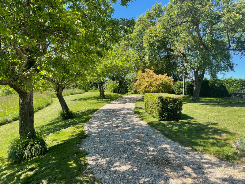 Commerce à vendre à Masseube, Gers - 483.000 € - photo 1