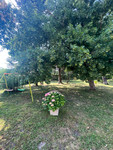 Maison à vendre à Saint-Philippe-du-Seignal, Gironde - 200.000 € - photo 2