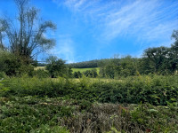 Propriété à vendre à Rezay, Cher - 136 250 € - photo n°14