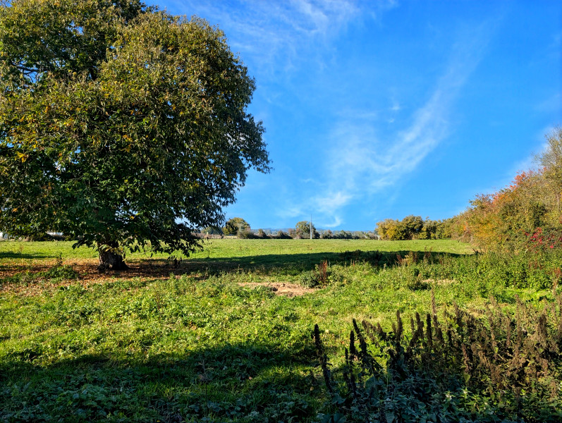French property for sale in Courgeon, Orne - €170,000 - photo 1