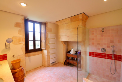 French property for sale in Moulins-sur-Tardoire, Charente - €440,000 - photo 8