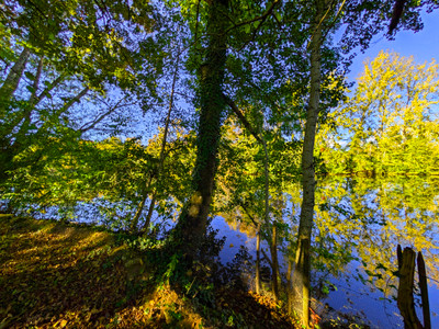 French property for sale in Boulazac Isle Manoire, Dordogne - €299,750 - photo 2