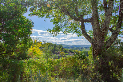 French property for sale in Puy-l'Évêque, Lot - €360,000 - photo 3