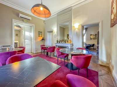 ORANGE, PROVENCE – Stunning Hôtel Particulier of 400m², 4 spacious living rooms, 5 BRs, 1853m² park, pool