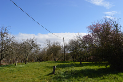 French property for sale in Genouillac, Creuse - €46,600 - photo 5