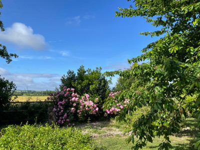 French property for sale in Marcillac-Lanville, Charente - €320,120 - photo 14