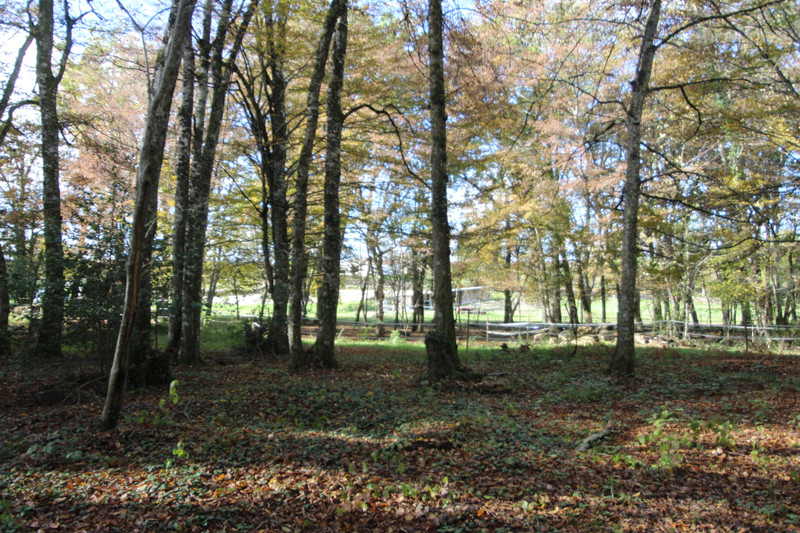 French property for sale in Beaumontois en Périgord, Dordogne - €449,400 - photo 8