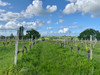 French property for sale in Montazeau, Dordogne - €328,600 - thumbnail 9