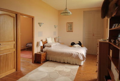 French property for sale in Ceaux-en-Loudun, Vienne - €446,250 - photo 12