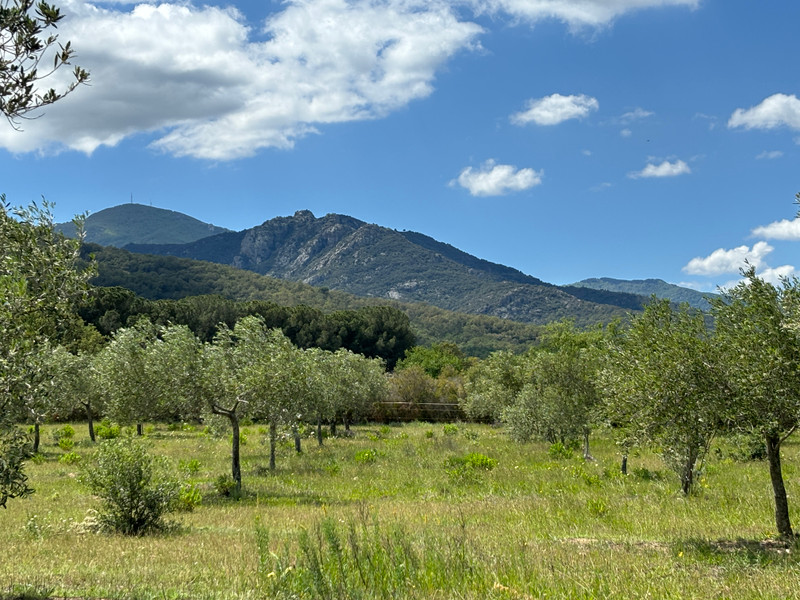 French property for sale in Argelès-sur-Mer, Pyrénées-Orientales - €785,000 - photo 4