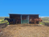 French property for sale in Saint-Nicodème, Côtes-d'Armor - €350,000 - thumbnail 14